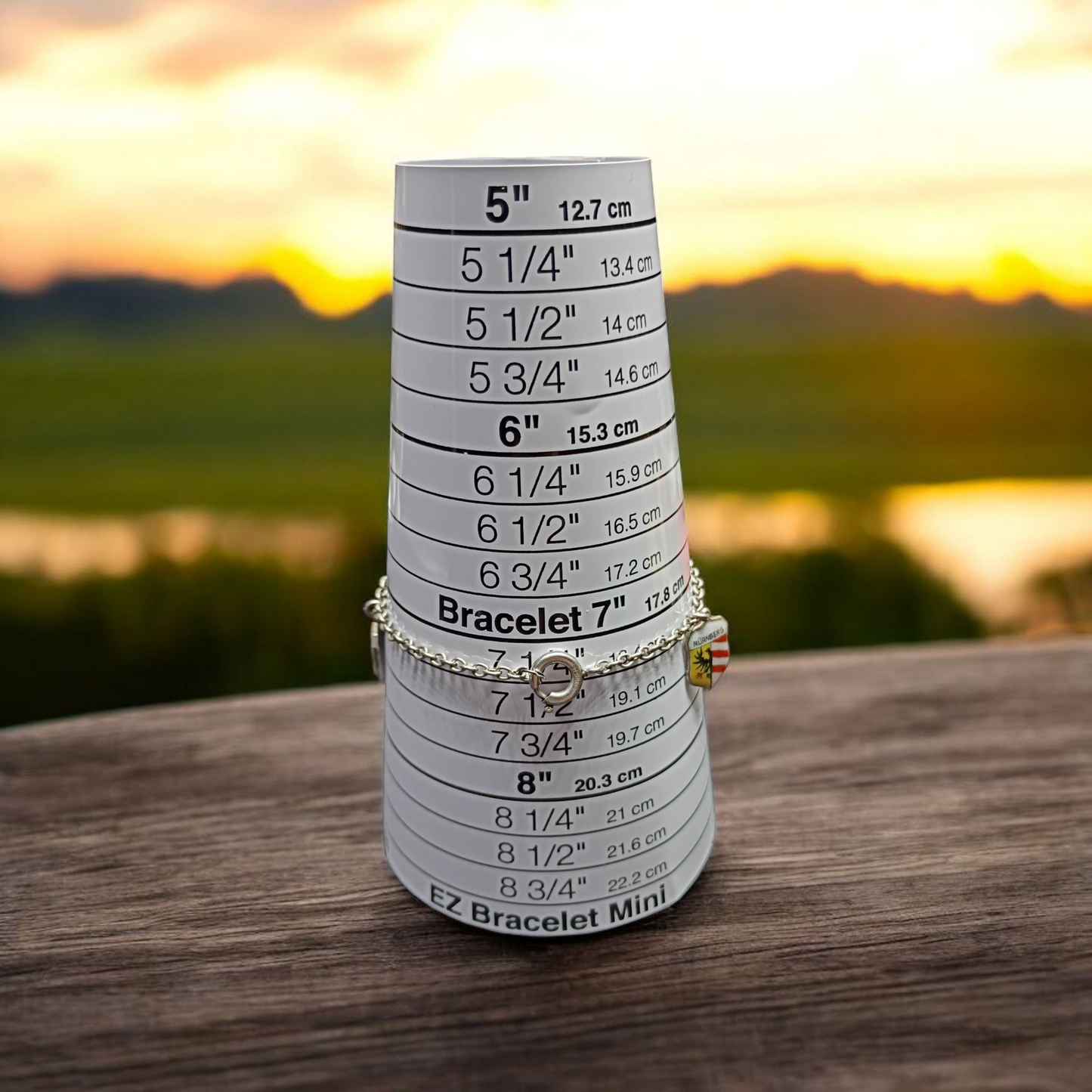 Vintage Enamel European Charm Bracelet